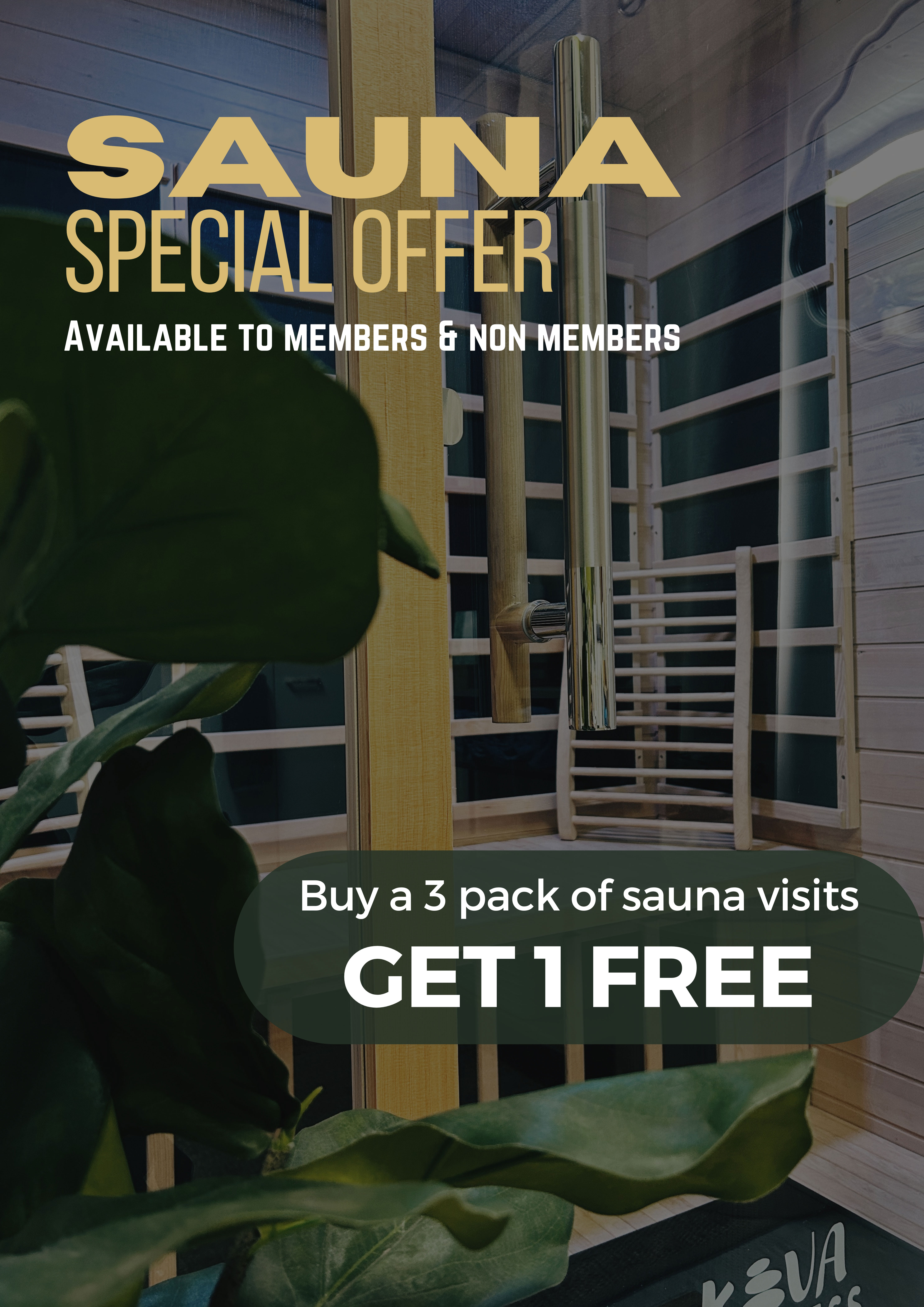 Sauna special offer